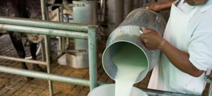 produccion leche provincia las tunas 1 696x317